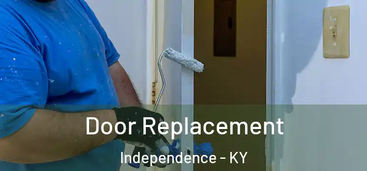Door Replacement Independence - KY