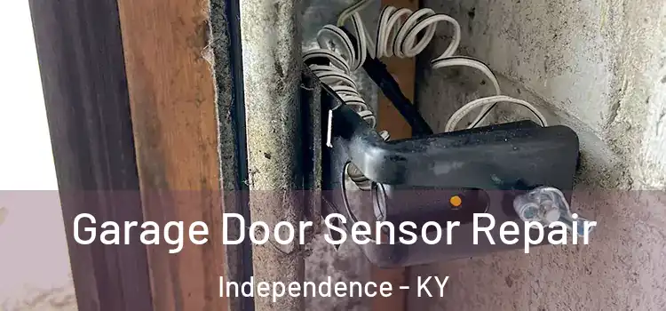 Garage Door Sensor Repair Independence - KY
