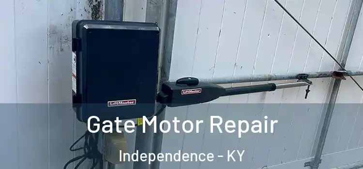 Gate Motor Repair Independence - KY